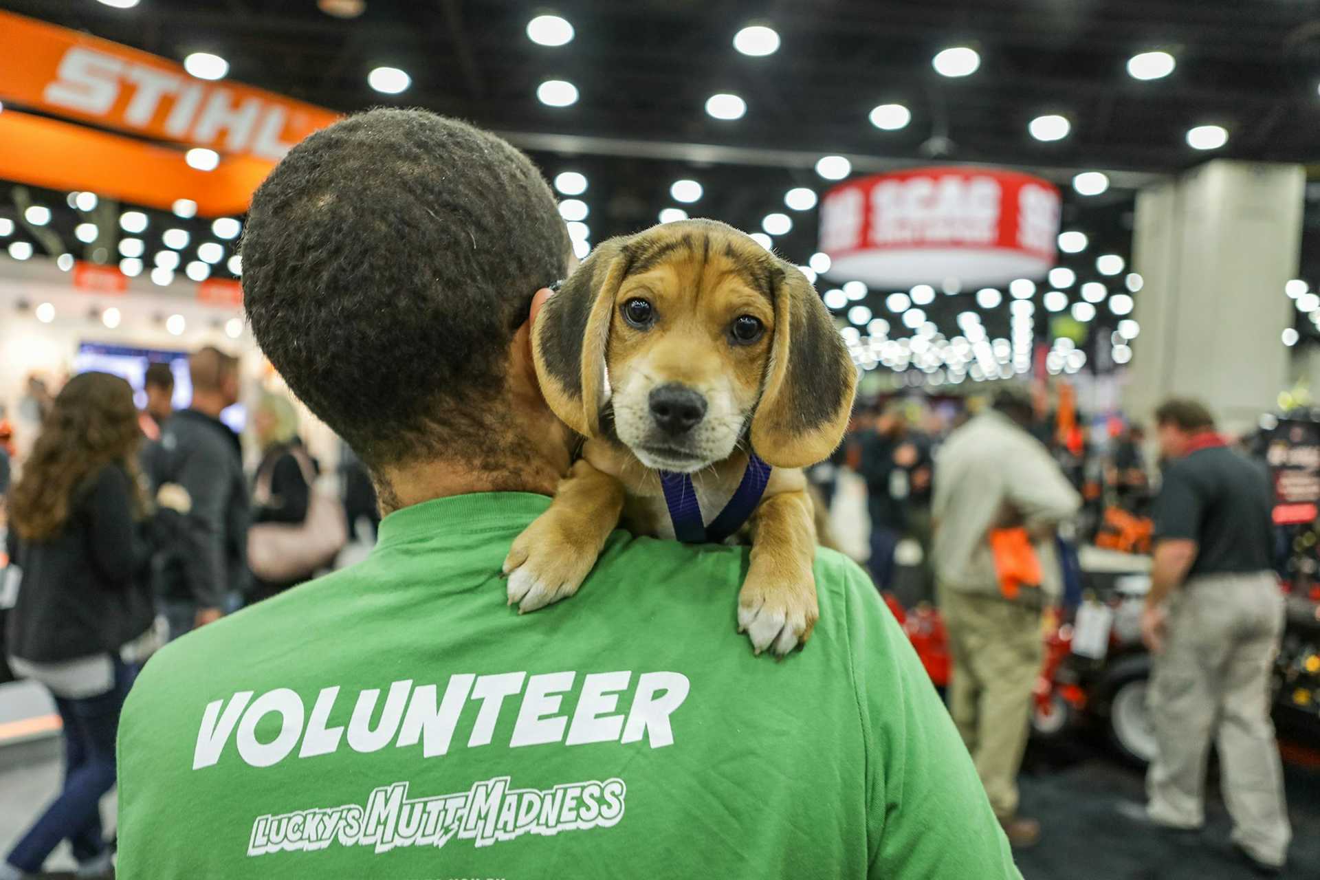 The 4th Annual Lucky’s Mutt Madness Scheduled at Equip Exposition 2022!-2c2069b0-91b2-4cb1-8b82-54aa33368a7a