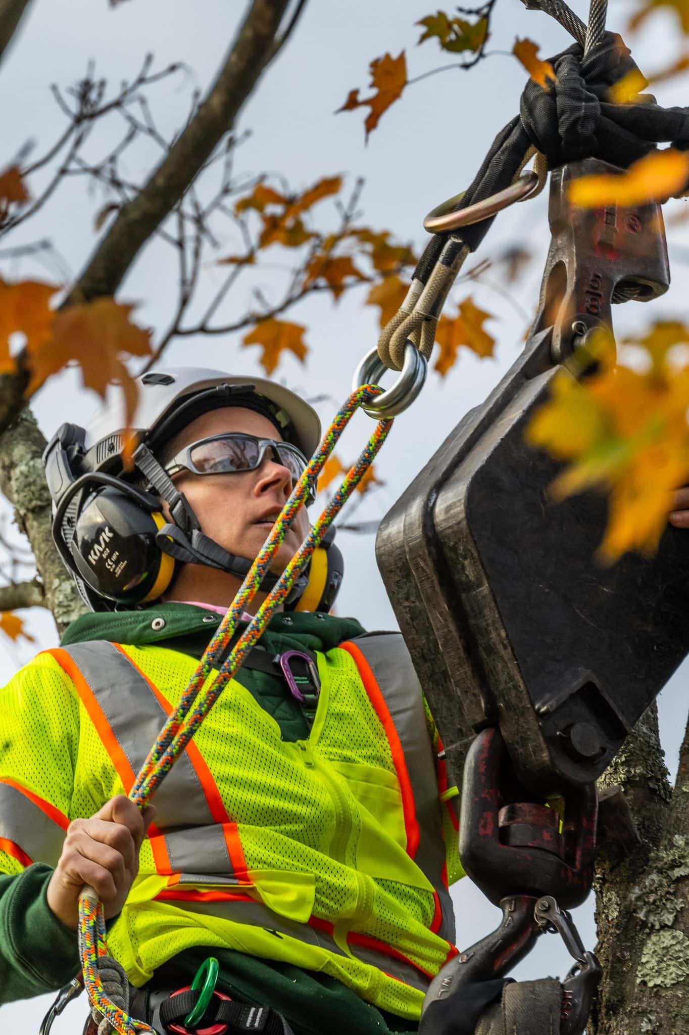 Equip Announces Tree Care Arena-04e82ccd-2530-4eb3-ba98-645a5e1c58f4