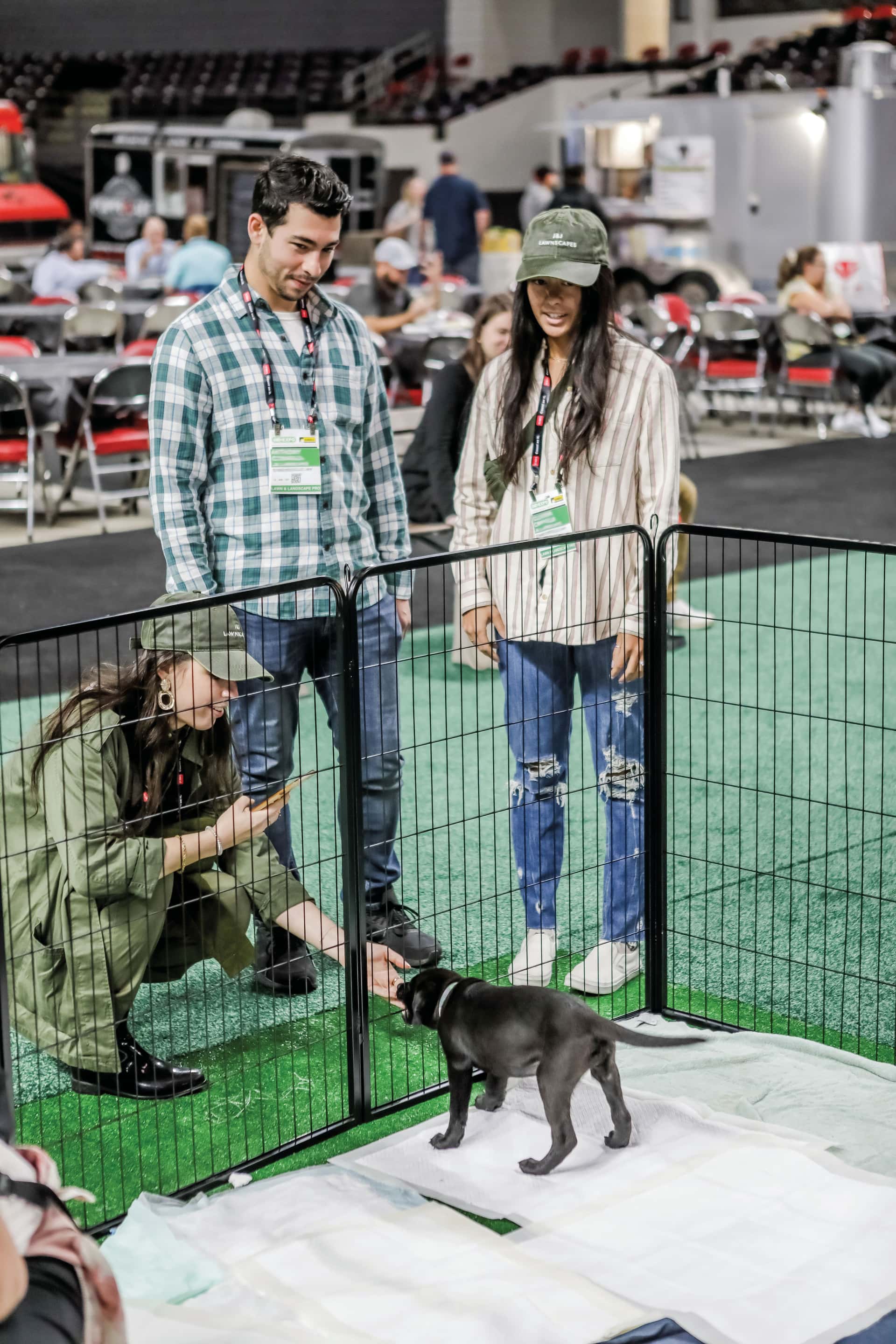 Lucky’s Mutt Madness-018b6110-2e5d-4b6a-9876-7a5ac8c053cd
