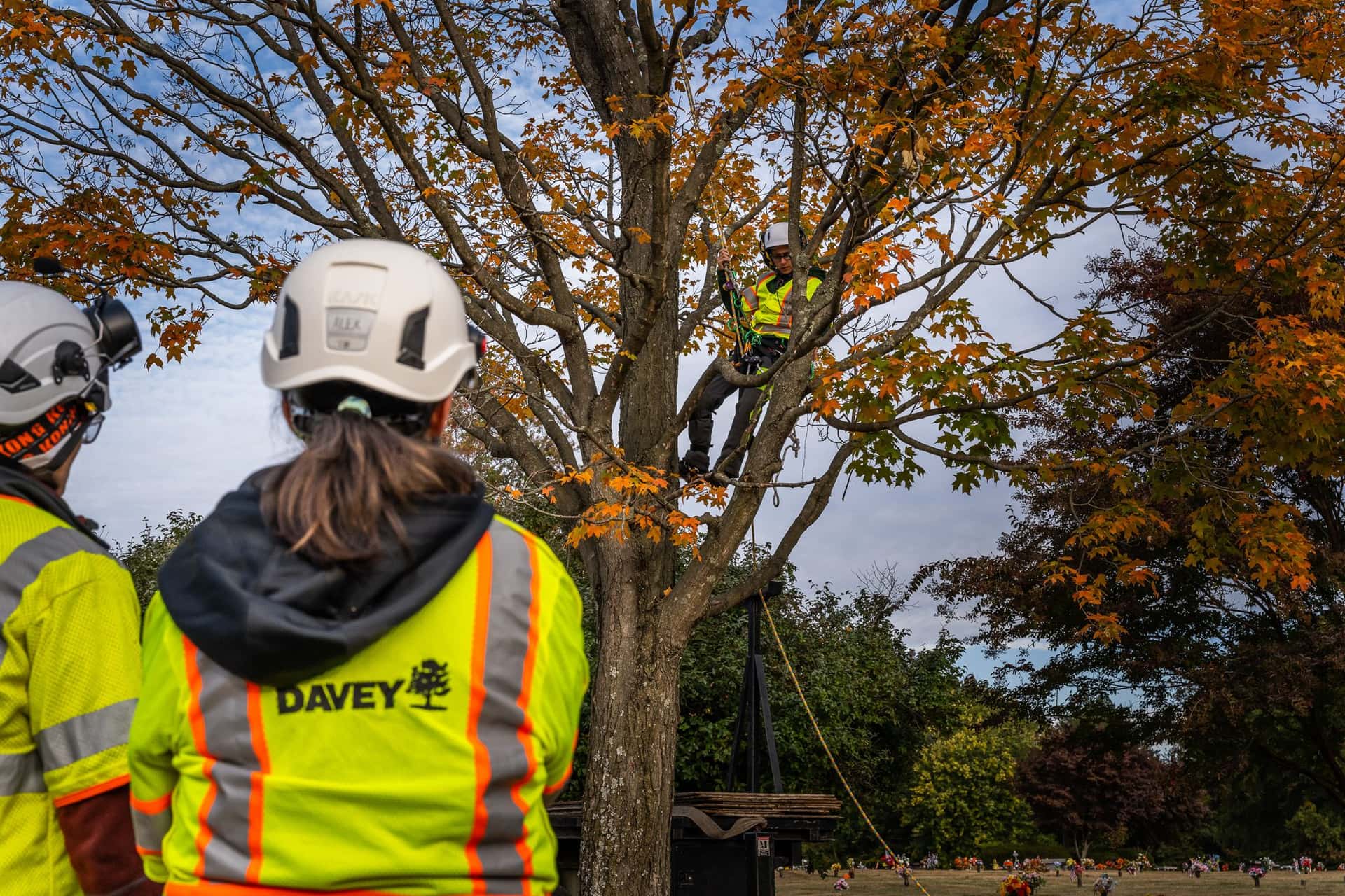 Equip Exposition anuncia Tree Care Arena, demostraciones en vivo -b7021a26-a71b-4c1f-b54d-59cc341ca6eb