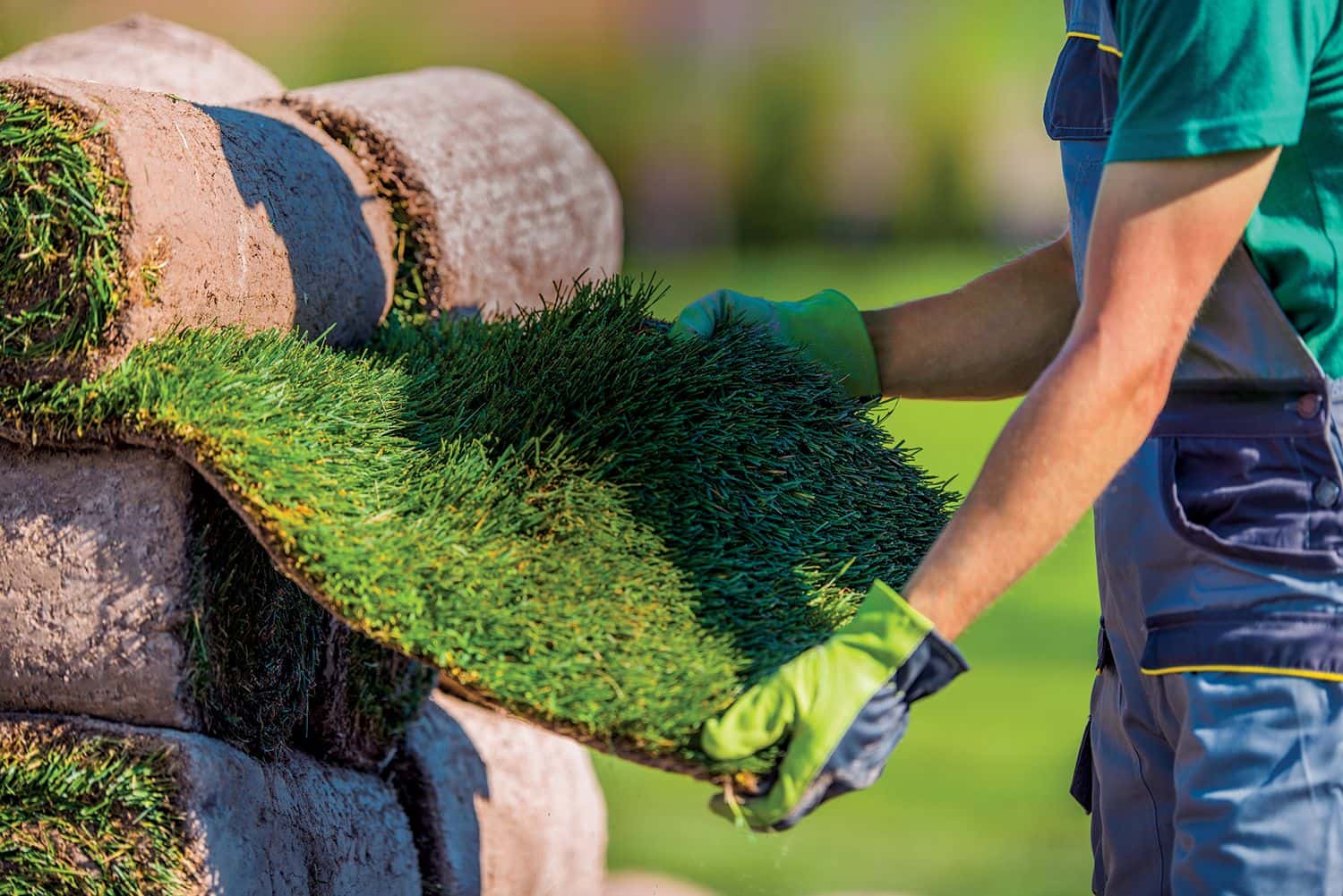 Purpose-Driven Landscape is More Important Than Ever-1f7ed1e9-ad97-432e-8000-7c486b9432af