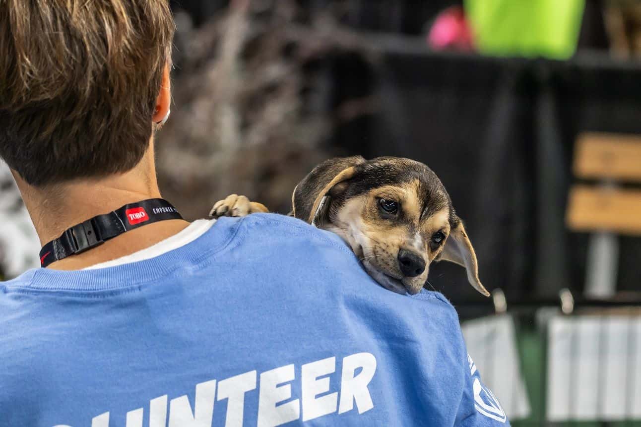 5th Annual Mulligan’s Mutt Madness Pet Adoption Event Returns to Equip Exposition 2023-53f0fb70-15b2-46b6-bef3-6eb0bcec7128