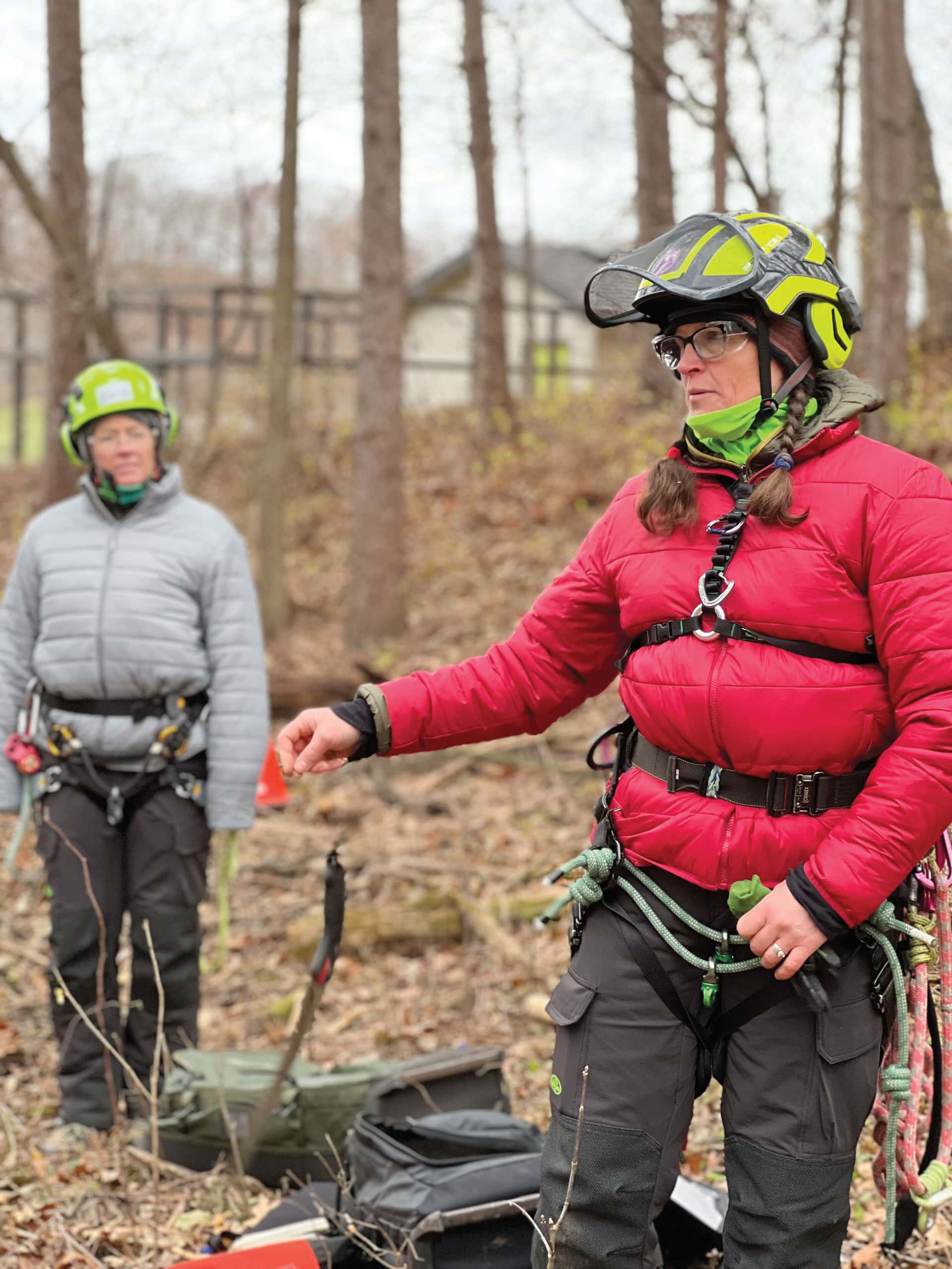 Backyarding-e1b50221-0b60-4ec6-b21d-11f43f49334e